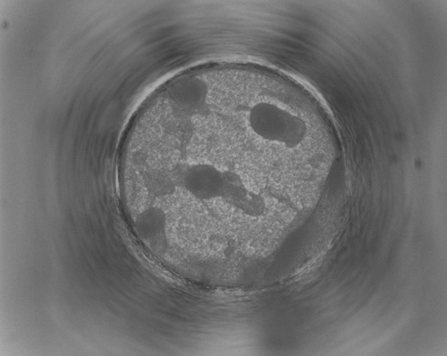 X0000066120887200604071909