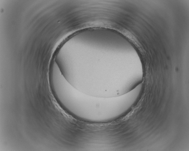 X0000066120888200604071909