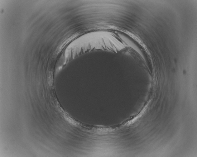 X0000066120889200604071909