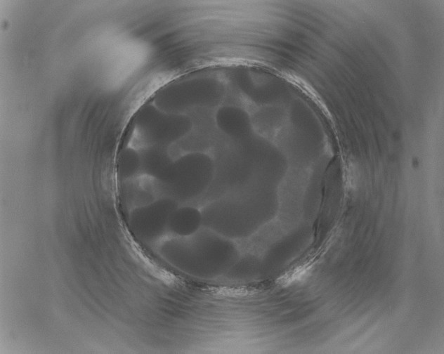 X0000066120890200604071909