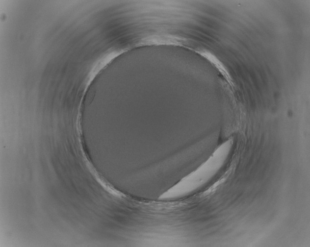 X0000066120893200604071909