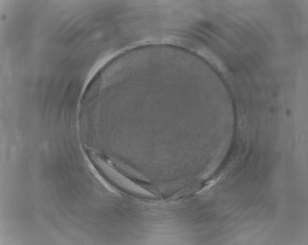 X0000066120894200604071909