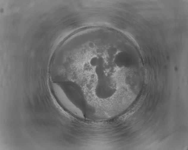 X0000066120895200604071909