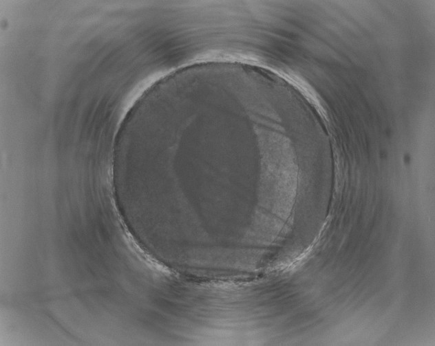 X0000066120896200604071909