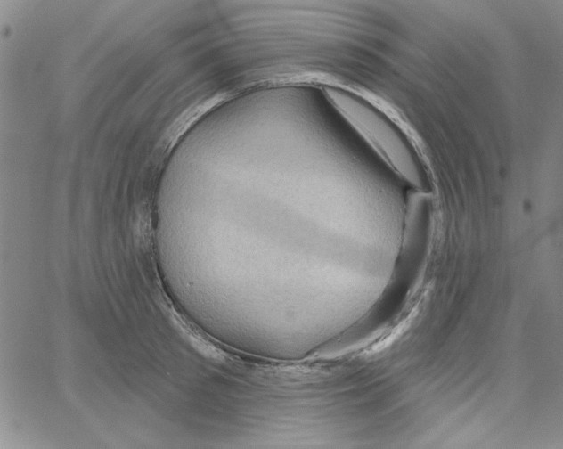 X0000066120897200604071909