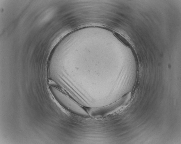 X0000066120898200604071909