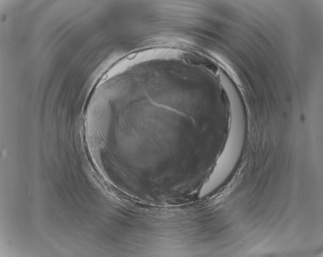 X0000066120899200604071909