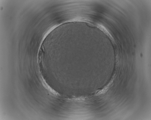 X0000066120900200604071909