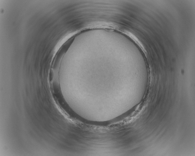 X0000066120901200604071909