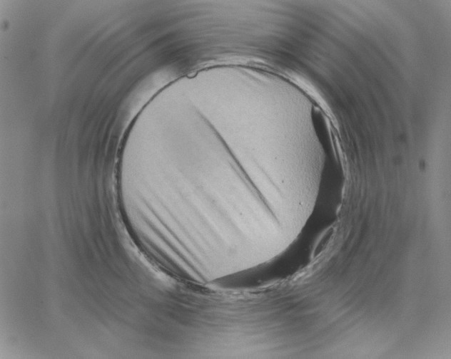 X0000066120906200604071909