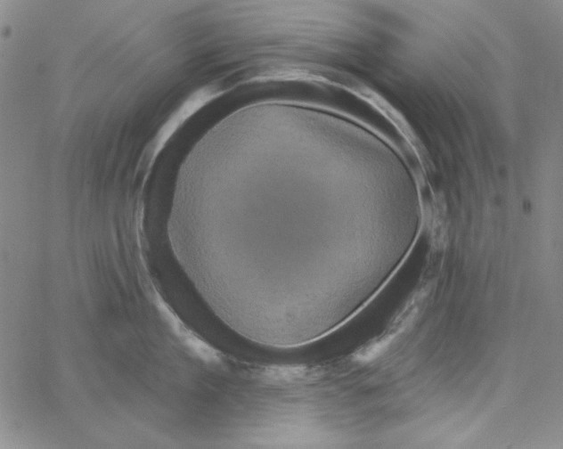 X0000066120909200604071909