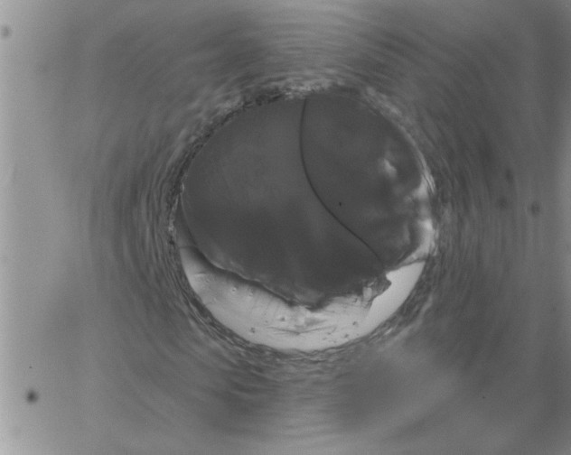 X0000066120913200604071908