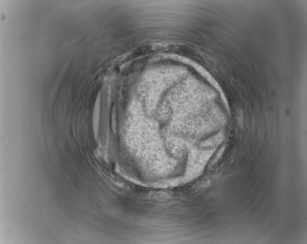 X0000066120914200604071908