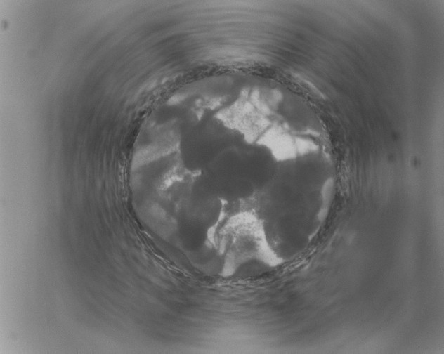 X0000066120917200604071908