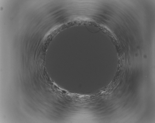 X0000066120919200604071908