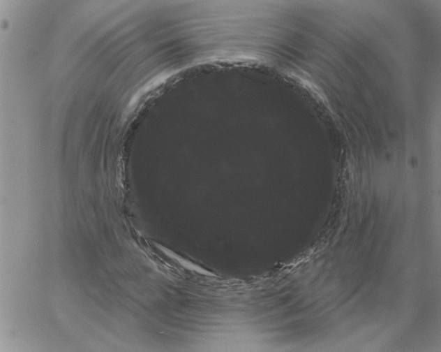 X0000066120920200604071908