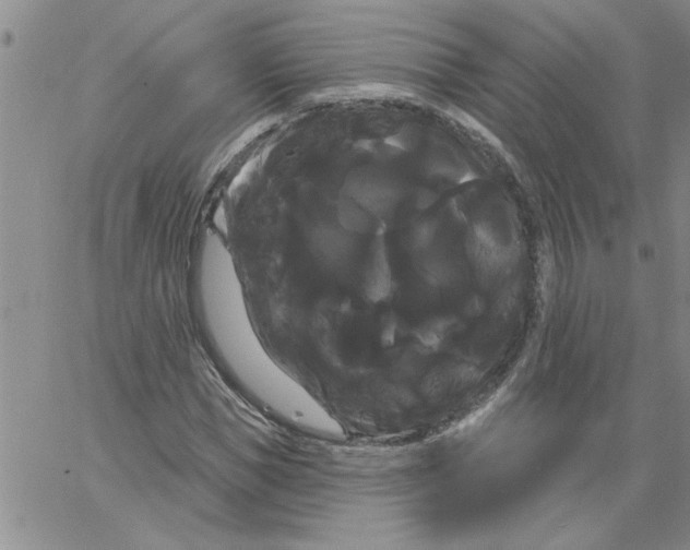 X0000066120921200604071908