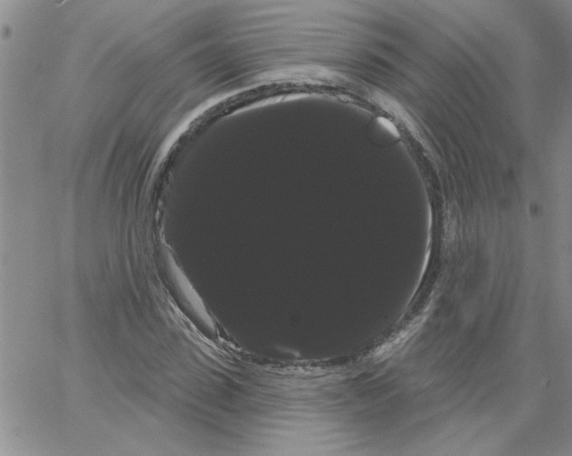 X0000066120923200604071908