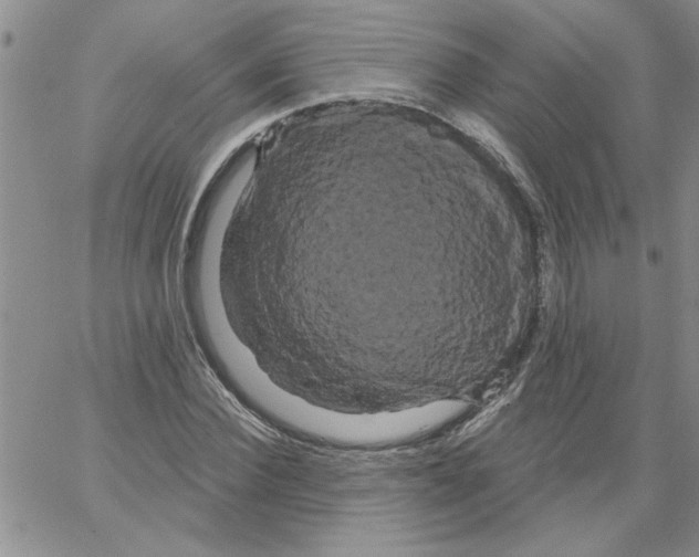 X0000066120924200604071908