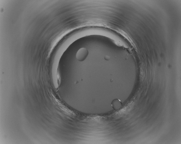 X0000066120926200604071908