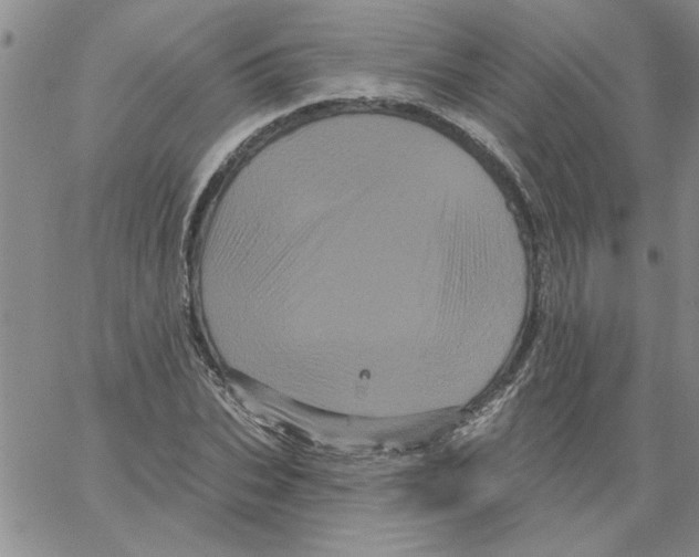 X0000066120927200604071908