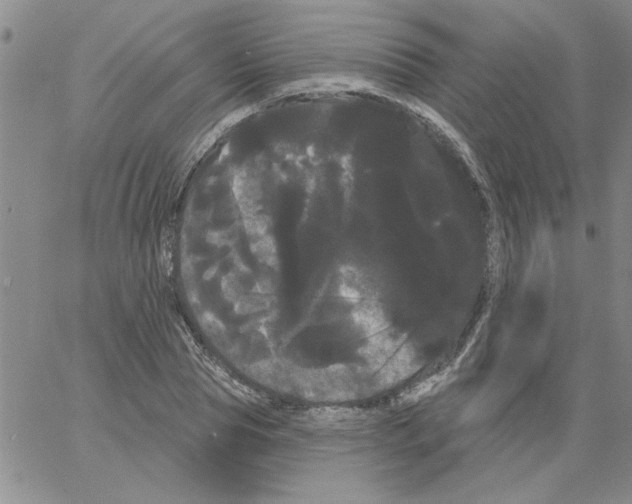 X0000066120929200604071908