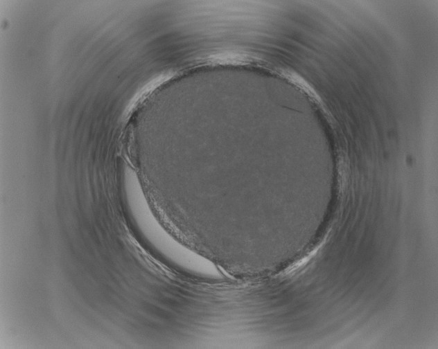 X0000066120930200604071908