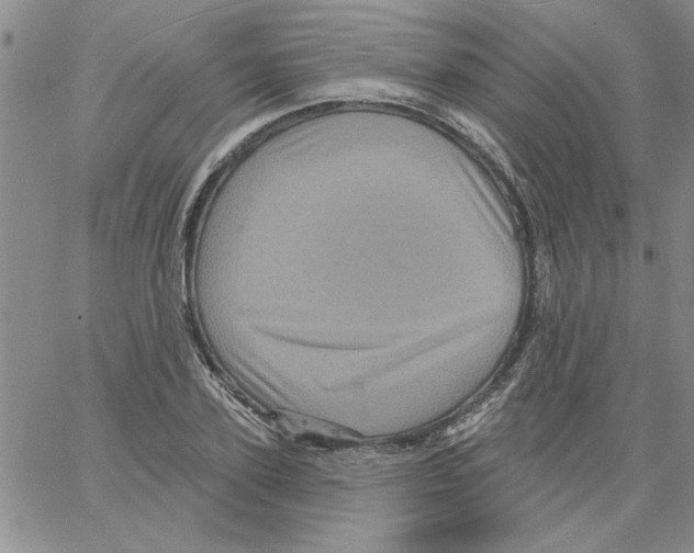 X0000066120931200604071908