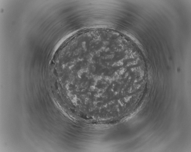 X0000066120933200604071908