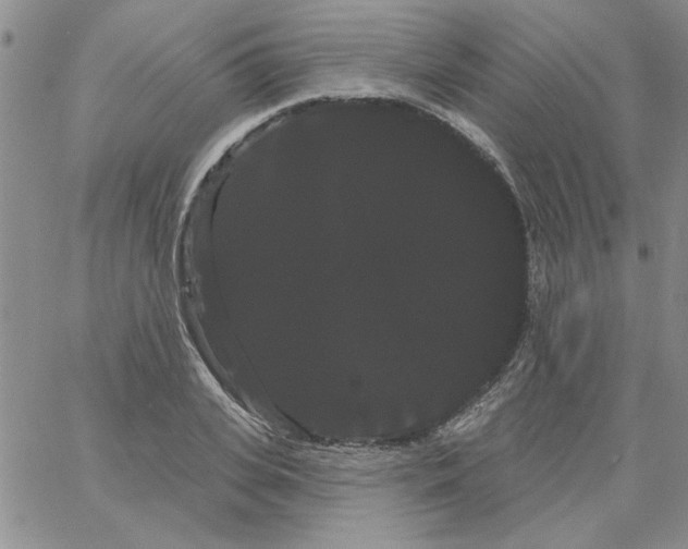 X0000066120935200604071908