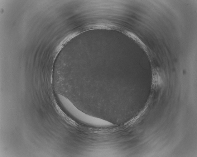 X0000066120938200604071908