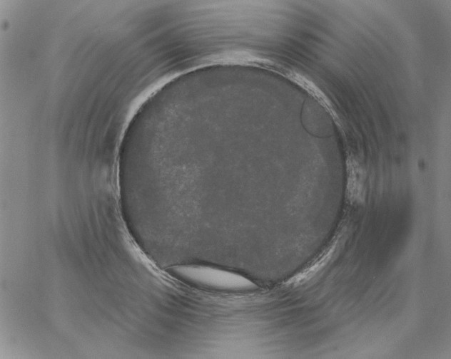 X0000066120939200604071908