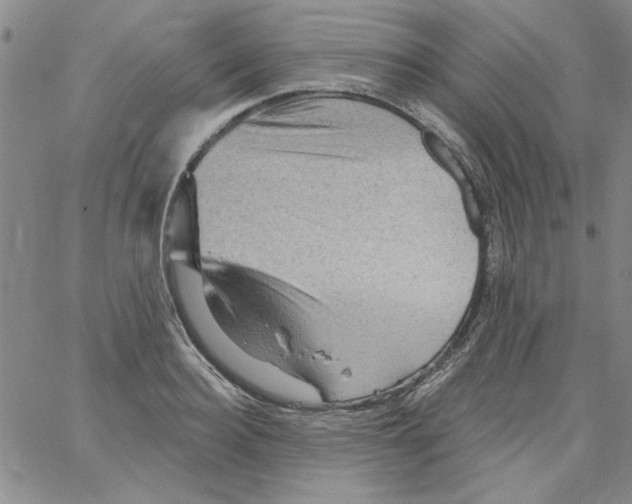 X0000066120940200604071908