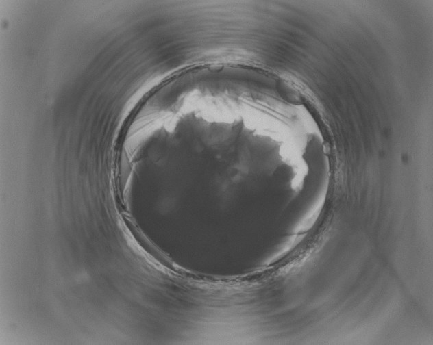 X0000066120941200604071908