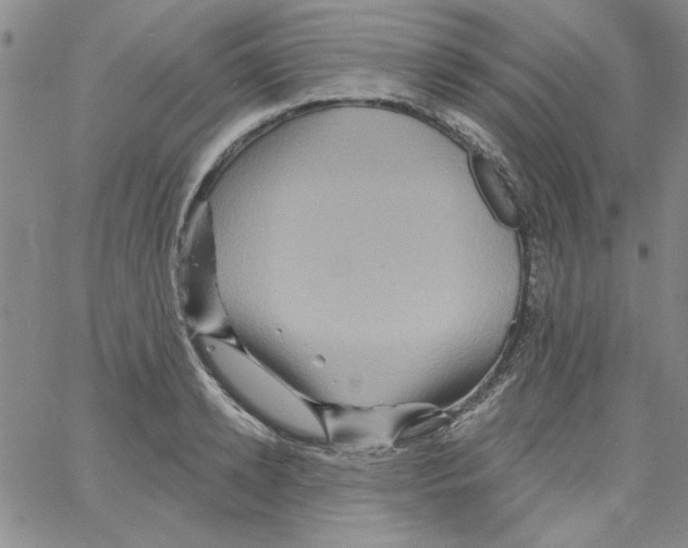 X0000066120942200604071908