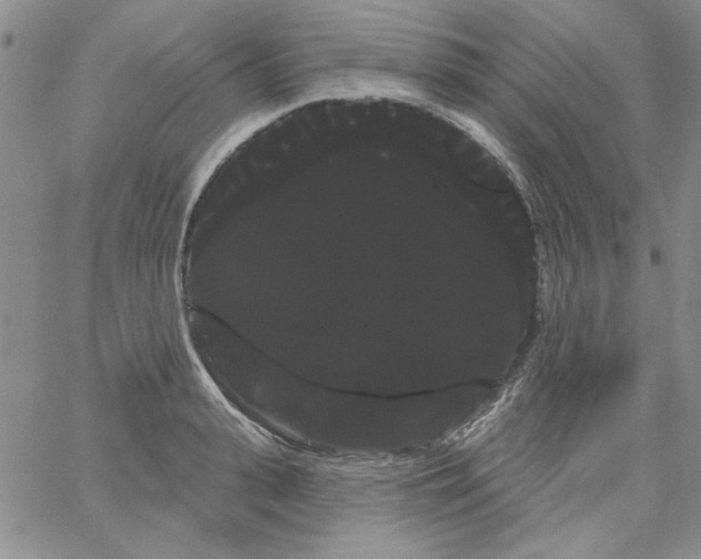 X0000066120943200604071908