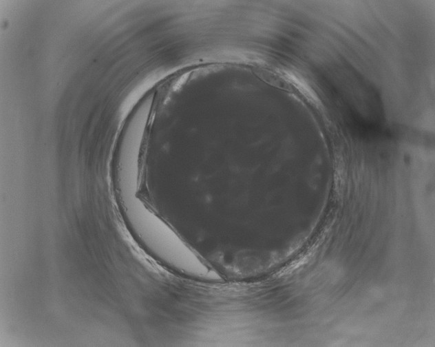 X0000066120944200604071908