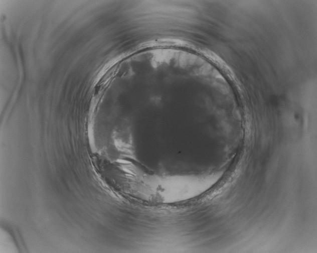 X0000066120945200604071908