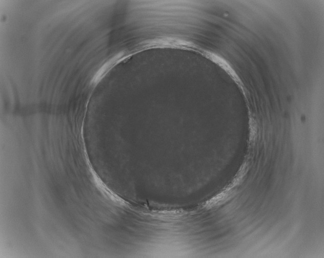 X0000066120946200604071908