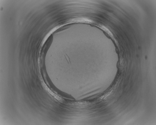 X0000066120947200604071909