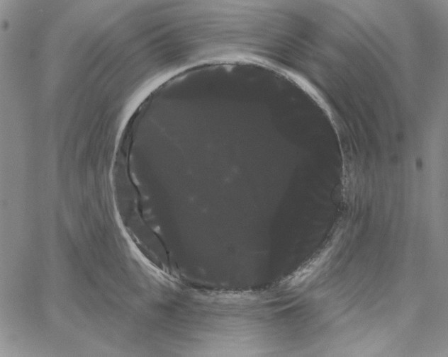 X0000066120951200604071909