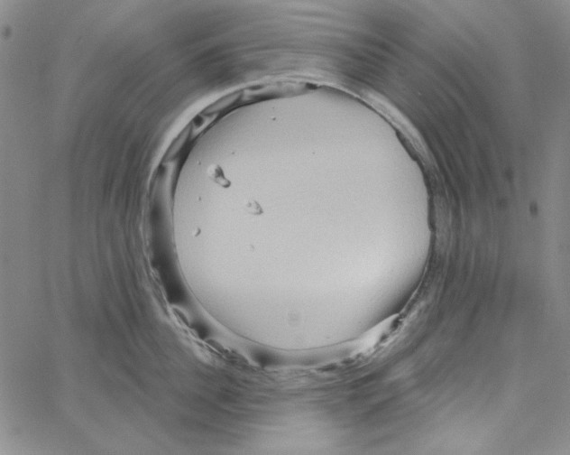 X0000066120956200604071909