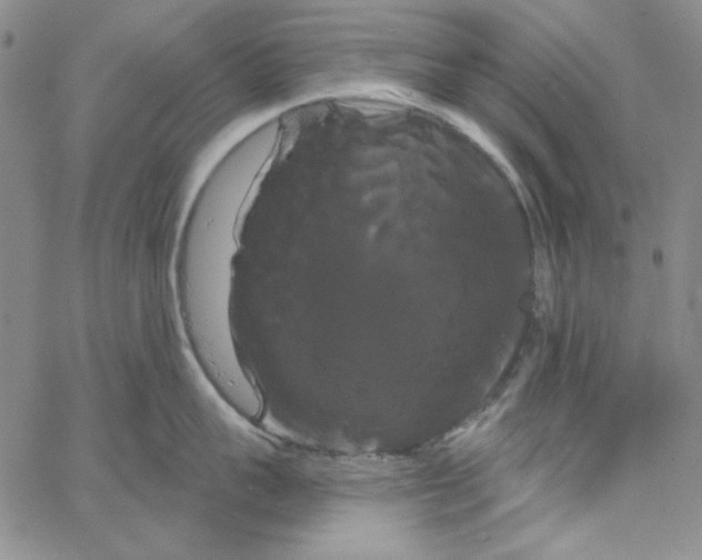 X0000066120959200604071909