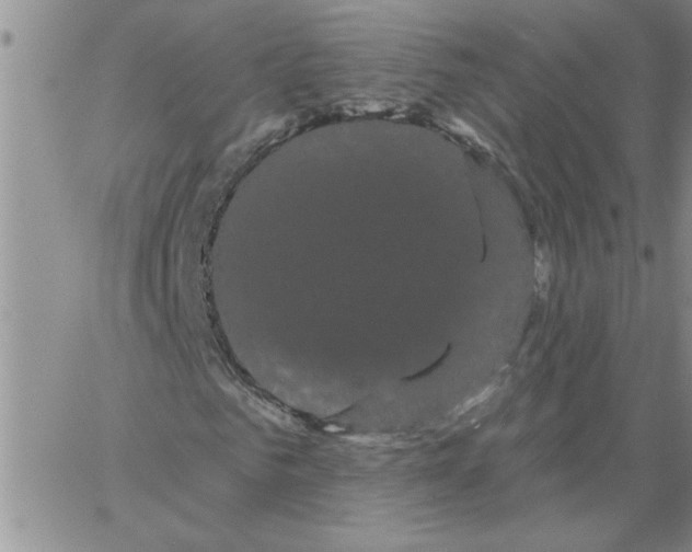 X0000066120961200604071908