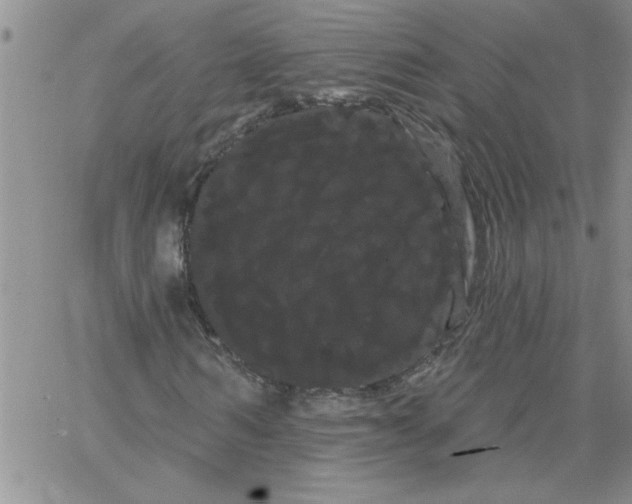 X0000066120962200604071908