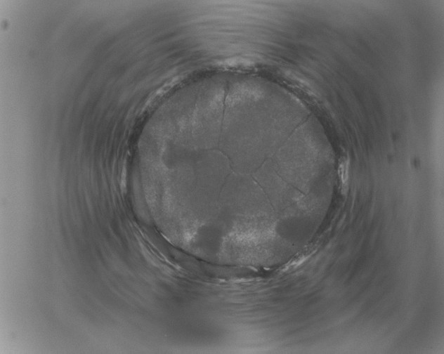 X0000066120963200604071908