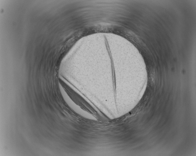 X0000066120964200604071908