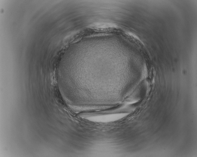 X0000066120965200604071908