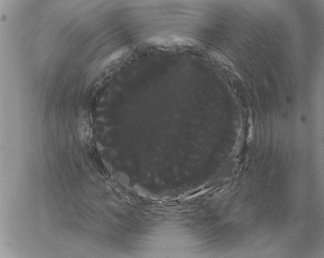 X0000066120966200604071908