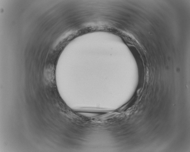 X0000066120967200604071908